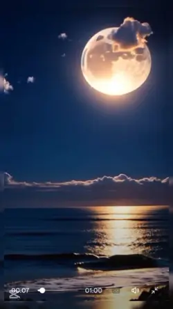 TheMoon