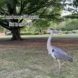 Hehe insert a title 
