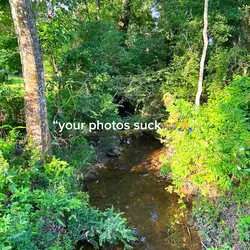 fixed quality photos