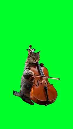 Cat Playing Violin