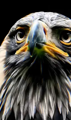 TikTok live