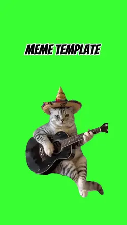 Mexican cat guitar