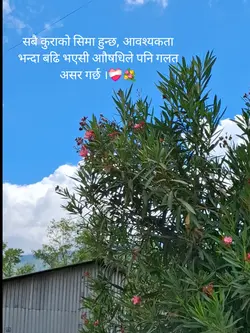 Radhe radhe