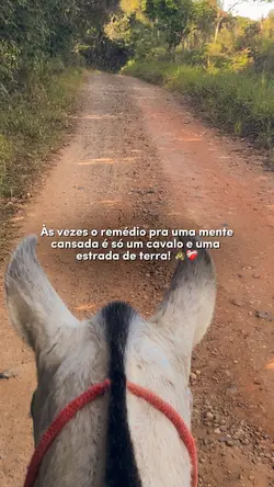 Cavalo e estrada ❤️‍🩹