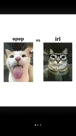 ff vs rl 
