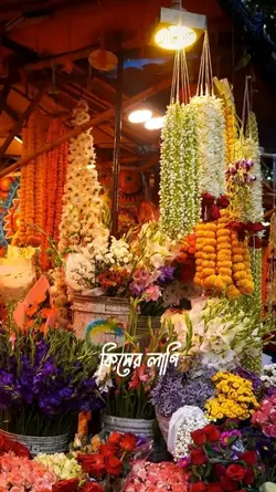 কিসের লাগি ঘর ছারিলা