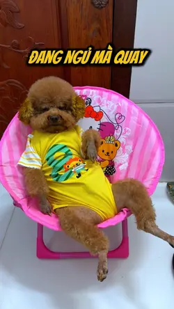 Báo Mon nữa rồi