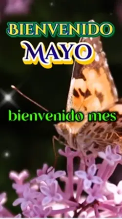 Bienvenido mayo