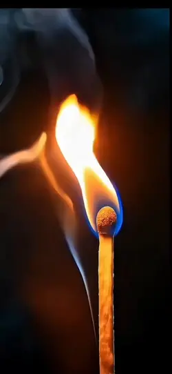 Live wallpaper