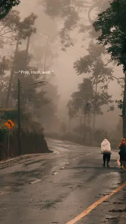Kabut vibes