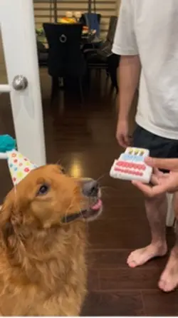 Birthday treat
