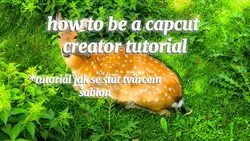 how to be a capcut