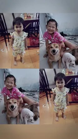 Gián đáng yêu không