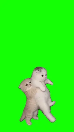 Baby Cats