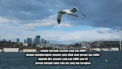 quotes