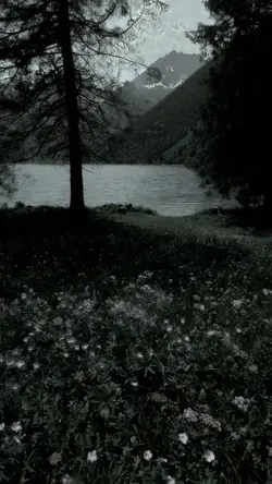 the way of the tears
