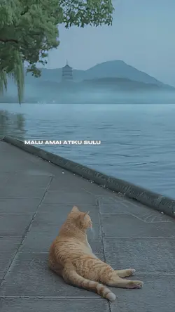 tusah belaki nguai~