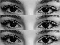 im lost in your iris