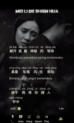 mei li de shien hua