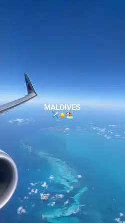 Summer trip
