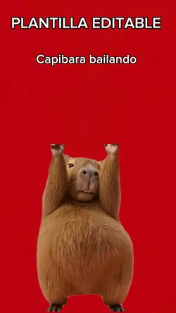 Capibara bailando