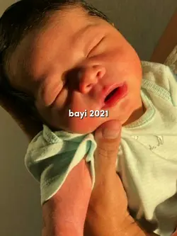 bayi 2021 vs 2024