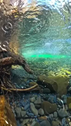 HEALING WATER 