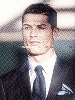 Montagem Hikari 