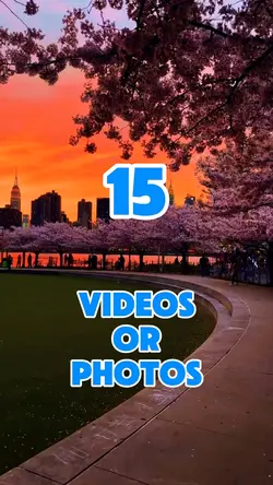 15 videos or photos