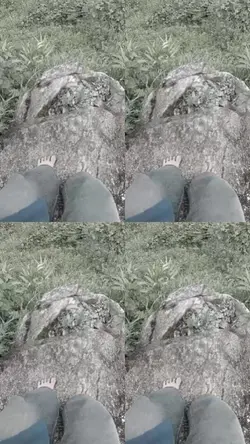 1 video