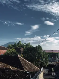 DIGDAYA PERSEBAYA