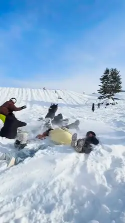 snow trend