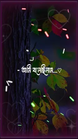 আমি বলেছিলাম তোর 