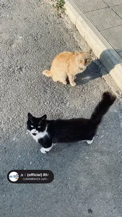 😍