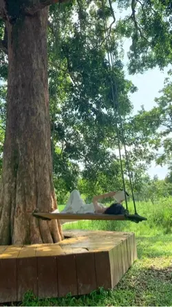 Sound of Nature