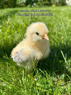 becoming a dino