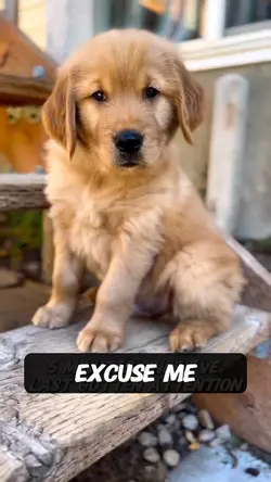 Excuse me