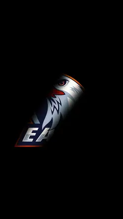 intro logo