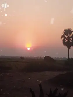 ខ្យល់ត្រជាក់ផាត់