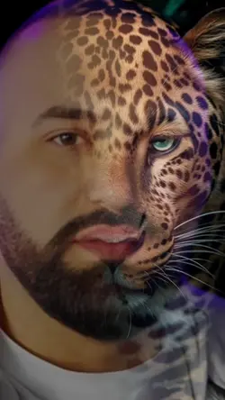 Tiger Face 
