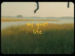 my quiet life