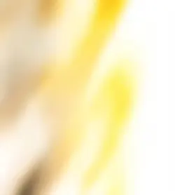 Cobra Kai Edit 