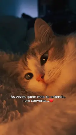 Mais te entende...