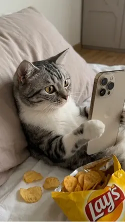  Who’s On My Screen?