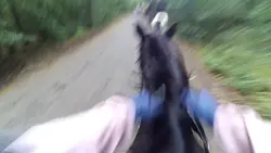 Szablon
