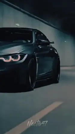 Dark Horse