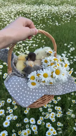 Pâques 