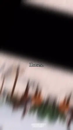 Horses