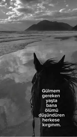 Veylo 🥀