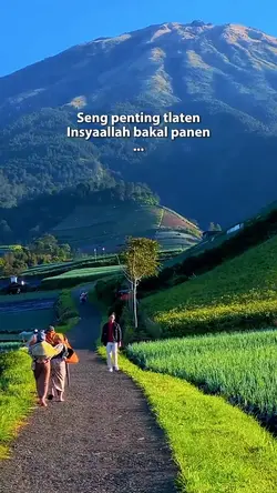 tlaten bakal panen